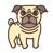 old-pug-full-body