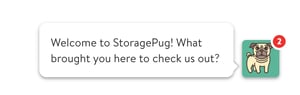 StoragePug's use of Live Chat on their website.