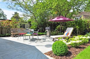 Image of a backyard in the summer